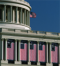 Capitol Flags