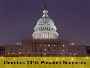 Counting down the FY 2015 Omnibus Scenarios